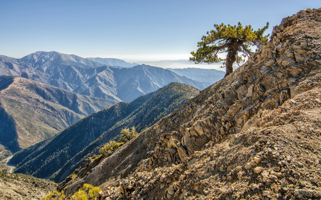Lone pine mountain peak sky free wallpaper - medium preview image