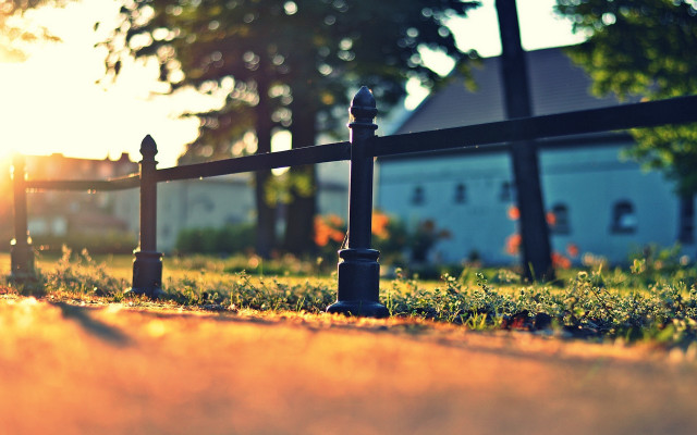 Fence grass sunlight trees house free wallpaper - medium preview image