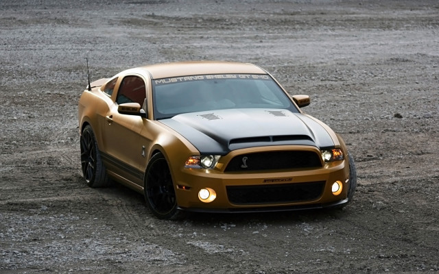 Gold mustang hood dirt light free wallpaper - medium preview image