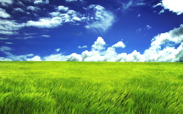 Green grass blue sky bench free wallpaper - medium preview image