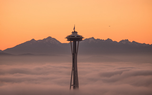 Tower foggy sunset bird matte free wallpaper - medium preview image