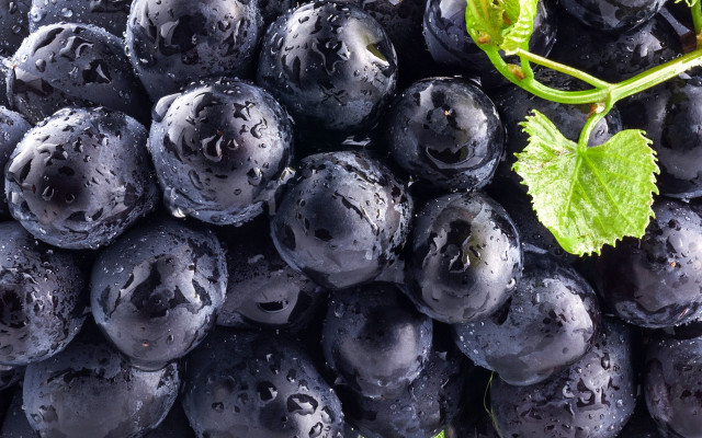 Blueberries greenleaf waterdroplets macro bubble free wallpaper - medium preview image