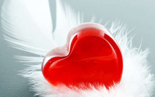 Red heart white feather gray free wallpaper - medium preview image