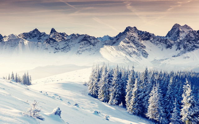 Snowy mountain forest clouds beach free wallpaper - medium preview image