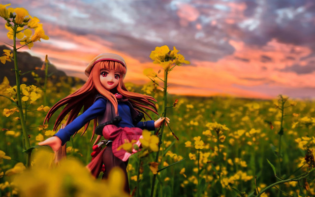 Doll field flower sunset pink free wallpaper - medium preview image