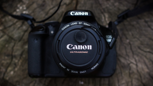 Camera lens on tree trunk free wallpaper - medium preview image