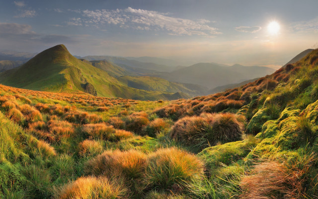 Grassy valley mountain sunset forest free wallpaper for desktop - medium preview image