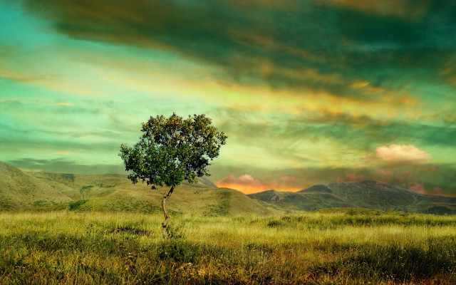 Lone tree field mountain sunset #2 free wallpaper - medium preview image