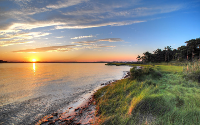 Sunset water grassy shore trees #2 free wallpaper - medium preview image