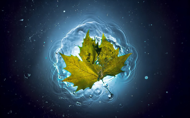 Leaf floating blue water bubbles free wallpaper - medium preview image