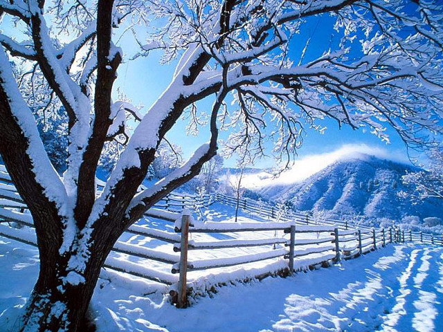 Snowy fence tree mountain blue free wallpaper - medium preview image