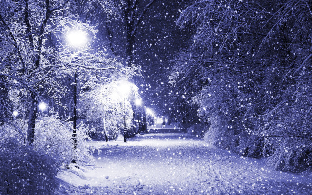 Snowy path street light trees #3 free wallpaper - medium preview image