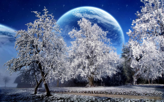 Snowy trees planet night sky free wallpaper - medium preview image