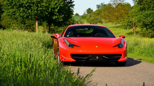 Red sports car field trees #2 free wallpaper - medium preview image