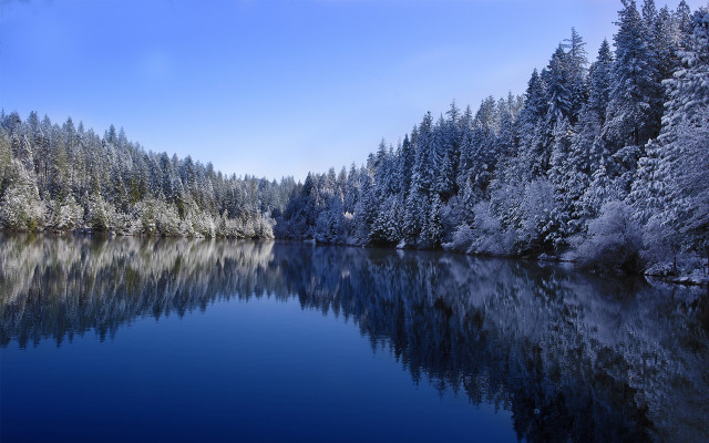 Lake snowy trees blue sky free wallpaper - medium preview image