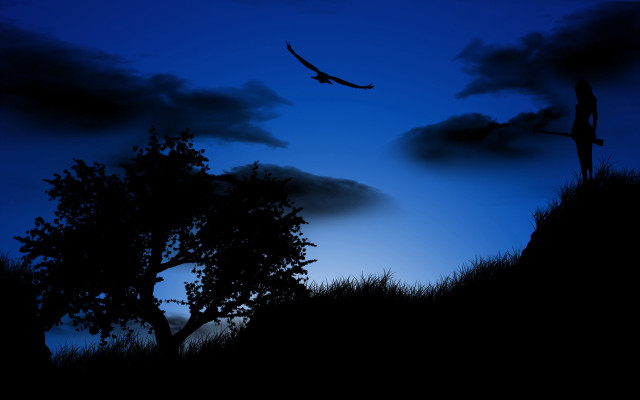Bird flying over tree night free wallpaper - medium preview image