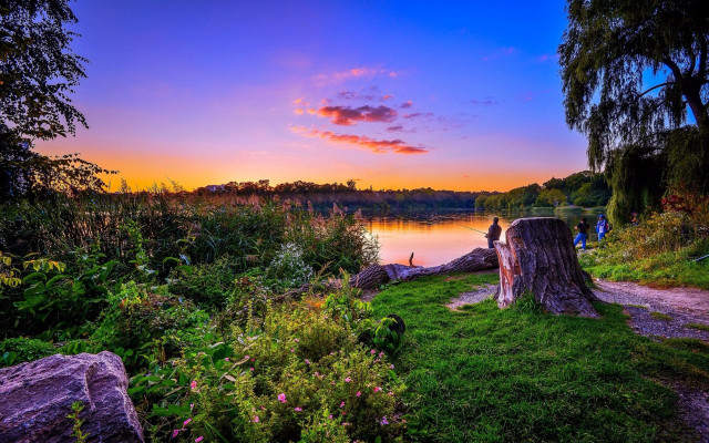 Sunset lake tree stump people free wallpaper - medium preview image