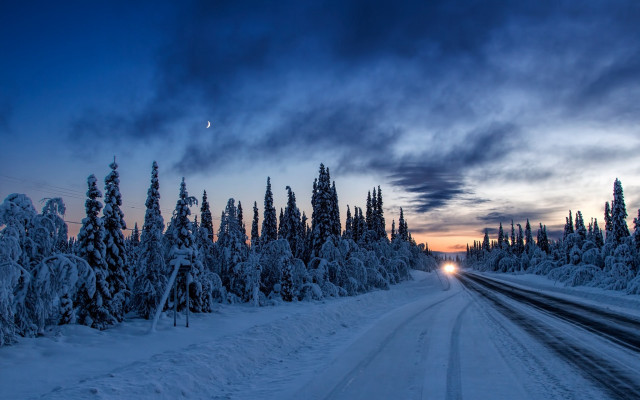 Snowy road trees moon night free wallpaper - medium preview image