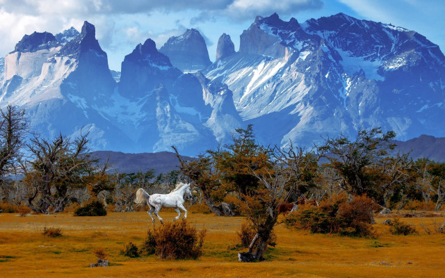 White horse mountains clouds forest free wallpaper - medium preview image