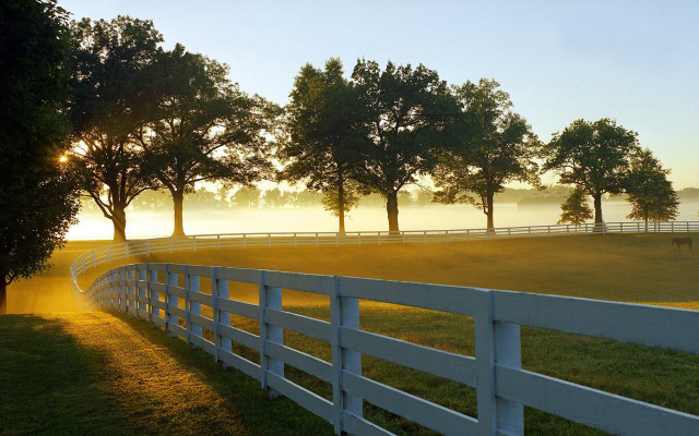 White fence autumn landscape bush free wallpaper - medium preview image