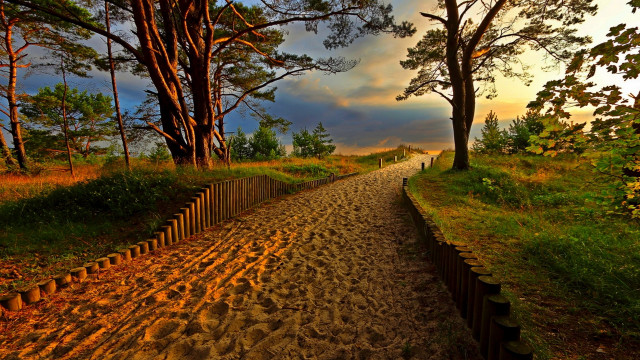 Dirt road fence trees autumn free wallpaper - medium preview image