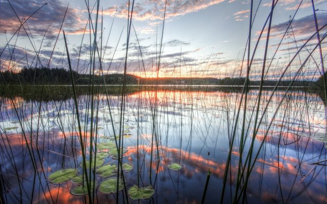 Lake lily pads sunset fence free wallpaper - medium preview image