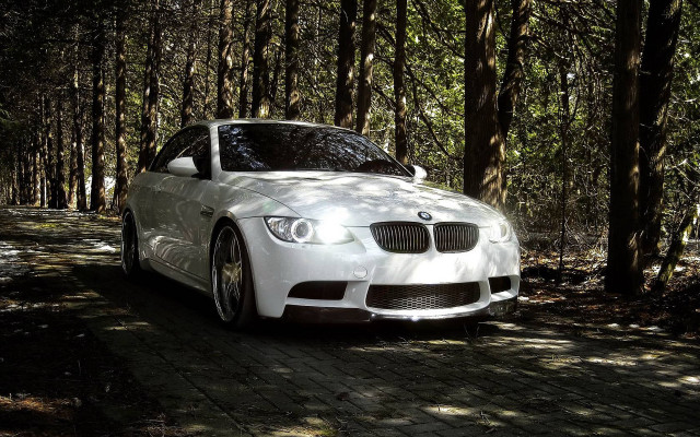 White car forest road city free wallpaper - medium preview image