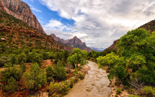 River forest rocks cloudy sky free wallpaper - medium preview image