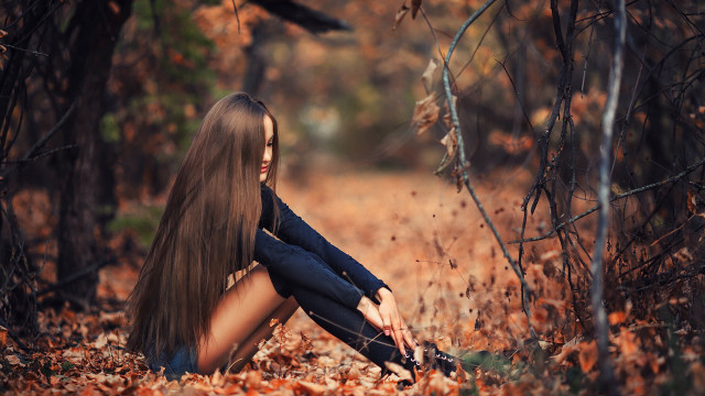 Woman woods wind bird autumn free wallpaper - medium preview image