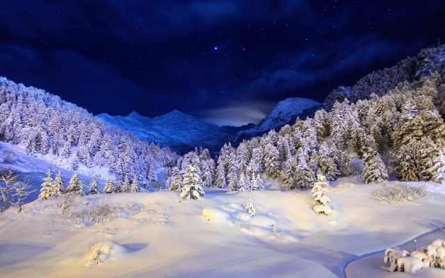 Snowy mountain trees night starry free wallpaper - medium preview image