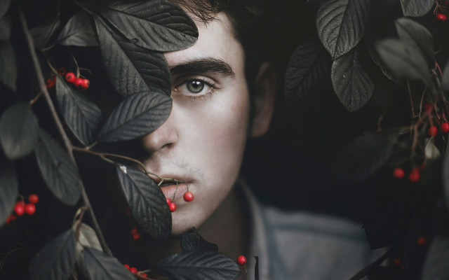 Berry lipped man hiding leaves free wallpaper - medium preview image