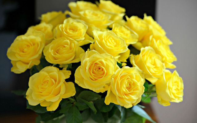 Yellow roses vase still life free wallpaper - medium preview image