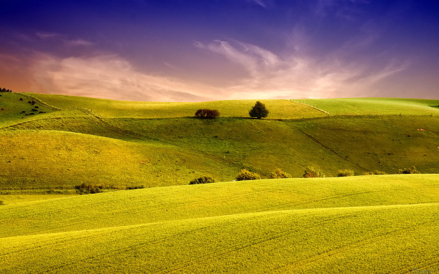 Green field trees clouds sunset #3 free wallpaper - medium preview image