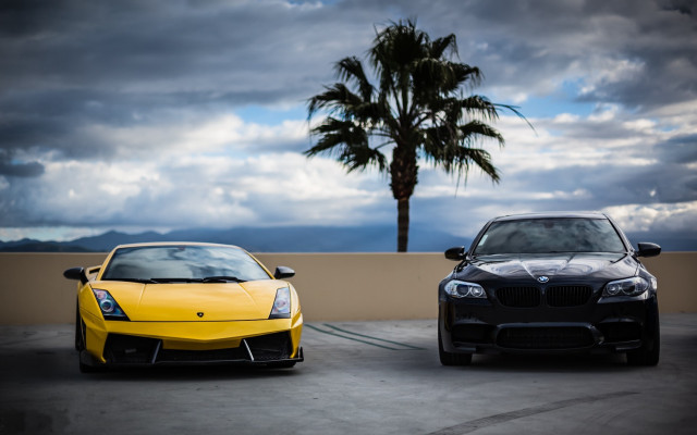 Cars parking lot palm tree free wallpaper - medium preview image
