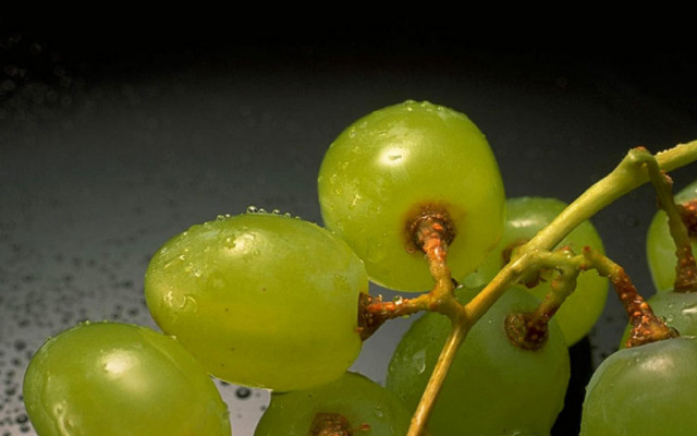 Grapes blackbowl water greenstem photorealism free wallpaper - medium preview image