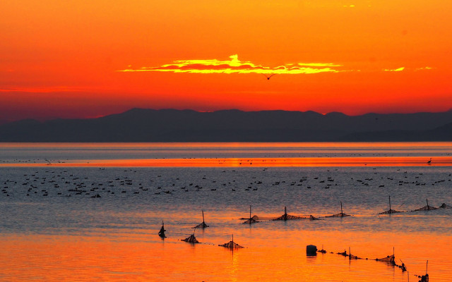 Sunset water birds mountains beach free wallpaper - medium preview image