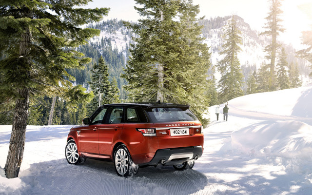 Red rover snowy woods bush free wallpaper - medium preview image