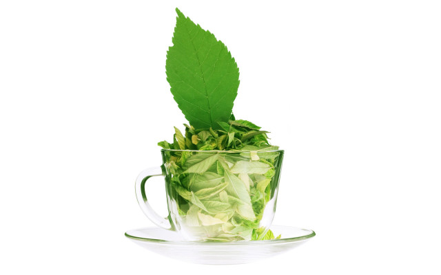 Green tea leaf saucer 3d free wallpaper - medium preview image