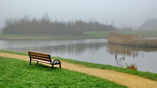 Foggy lake bench path park free wallpaper - medium preview image