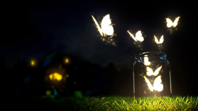 Glowing butterflies jar night grass free wallpaper - medium preview image