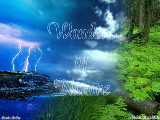 Forest clouds nature mattepainting bush free wallpaper - medium preview image