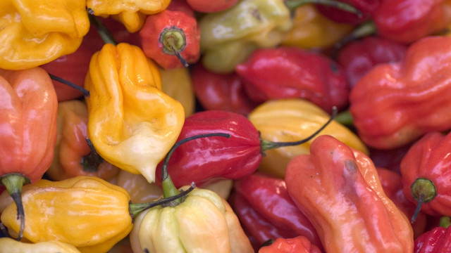 Red yellow peppers green tops free wallpaper - medium preview image