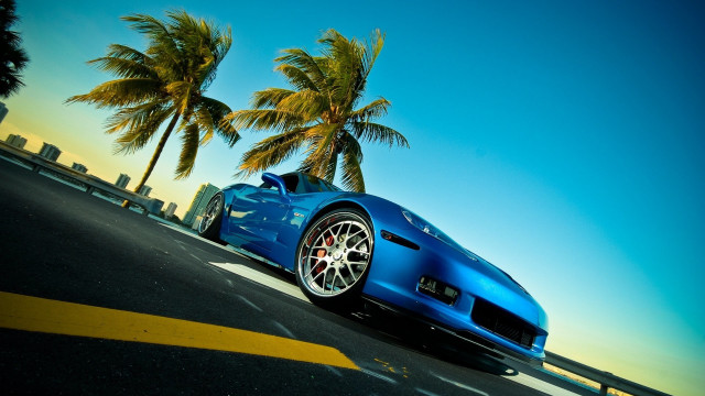 Blue sports car palm trees free wallpaper - medium preview image