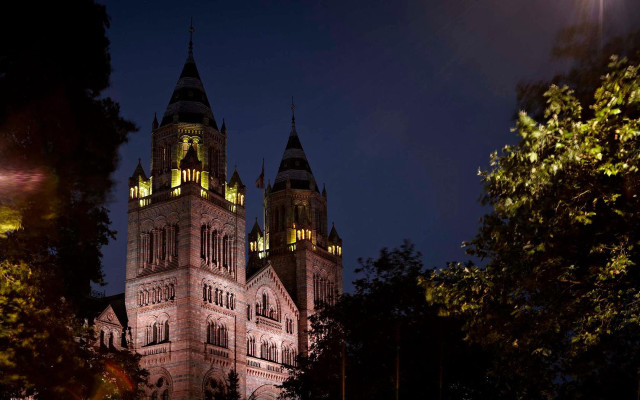Cathedral night trees streetlamp matte free wallpaper - medium preview image