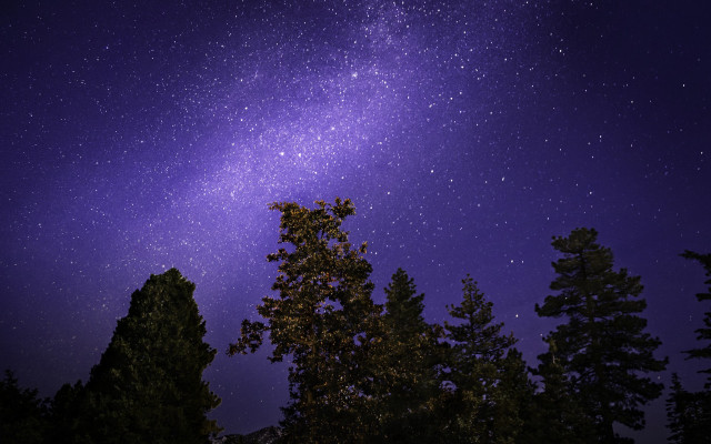 Night sky stars tree moon free wallpaper - medium preview image