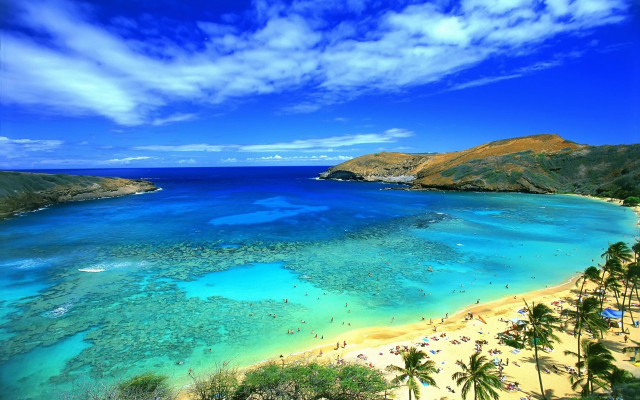 Beach blue water palm trees #2 free wallpaper - medium preview image