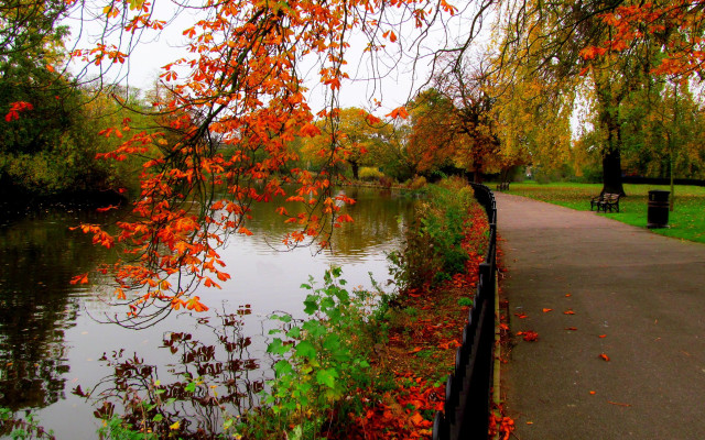 River bench autumn leaves impressionism free wallpaper - medium preview image