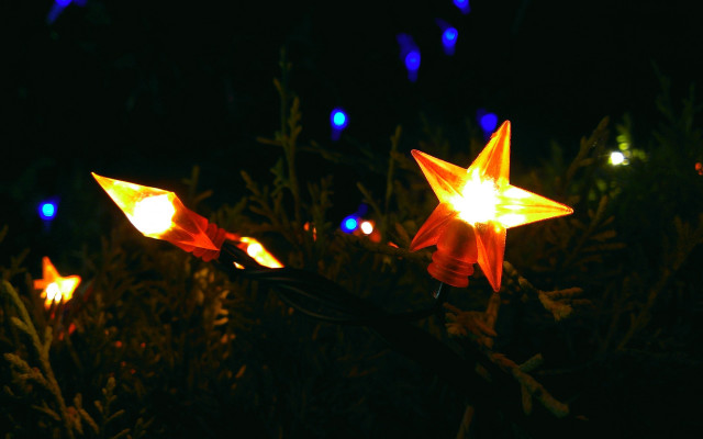 Glowing butterfly stars night forest free wallpaper - medium preview image