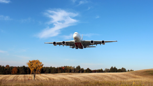 Jetliner blue sky field trees free wallpaper - medium preview image