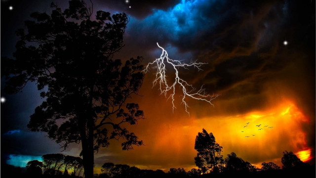 Lightning bolt sky tree field free wallpaper - medium preview image
